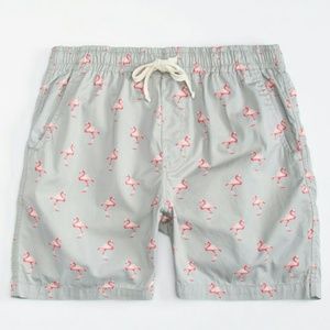 🦩 FreE NaTure flAMing0 v0llEy sh0rtS